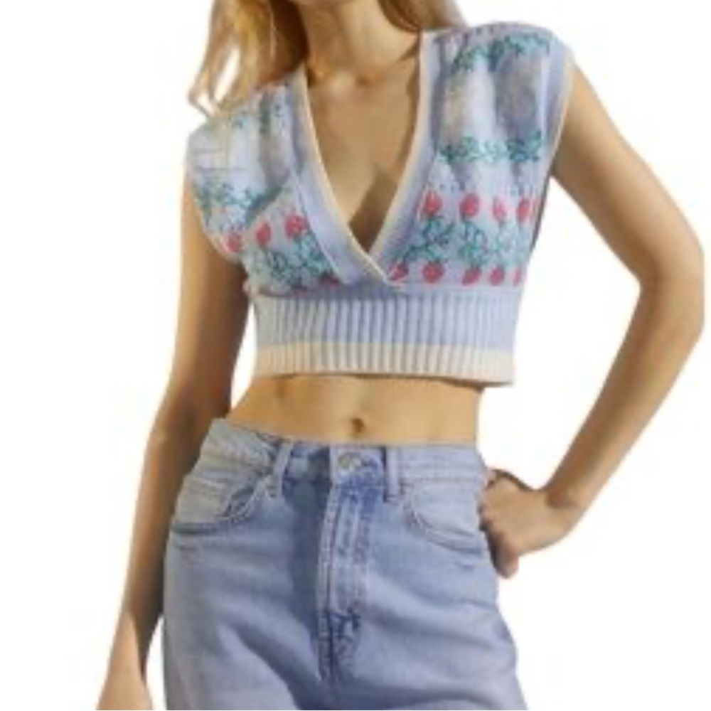 Urban Outfitters Cropped Blue strawberry sweater vest size medium
